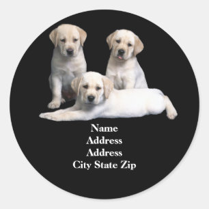 Labrador Retriever Puppy Address Label
