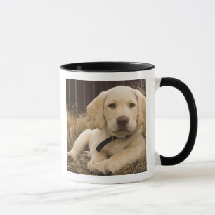 Labrador Retriever puppy Mug