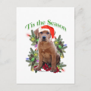 Labrador Retriever Puppy 'Tis the Season  Postcard