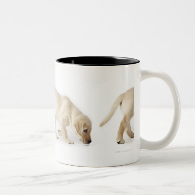 Labrador Retriever Puppy Walking Two-Tone Coffee Mug (Right)