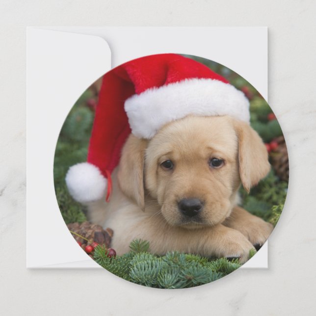 Labrador Retriever Puppy With Santa Hat Holiday Card (Front)