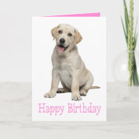 Labrador Retriever Puppy Yellow Lab Dog Birthday