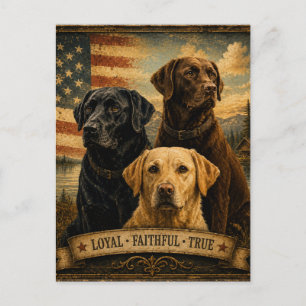  Labrador Retriever Rustic American Flag  Postcard