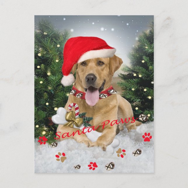 Labrador Retriever Santa Gifts Holiday Postcard (Front)