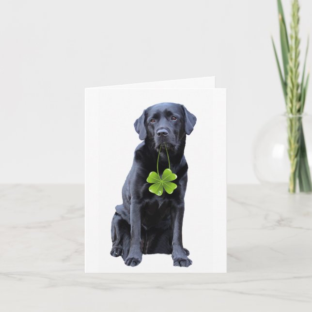 Labrador Retriever St.Patrick's Day Holiday Card (Front)