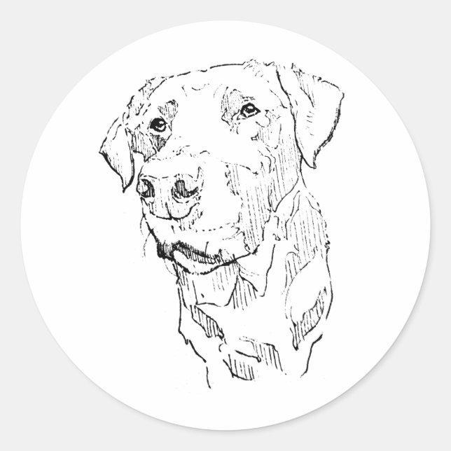 Labrador Retriever Sticker Art (Front)