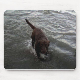Labrador Retriever swimming Mouse Pad