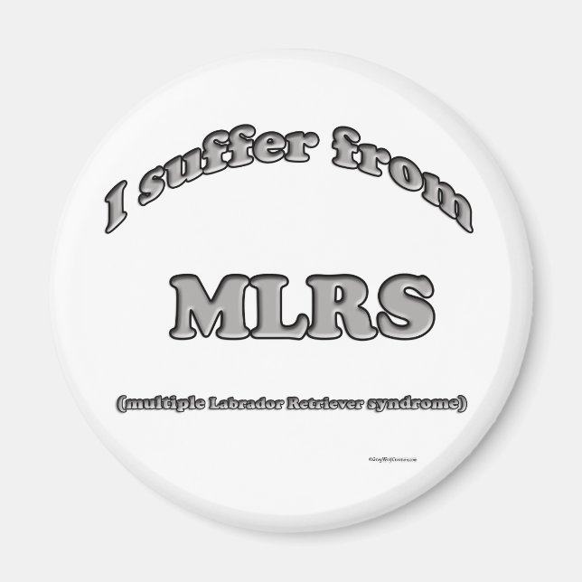 Labrador Retriever Syndrome - Magnet (Front)
