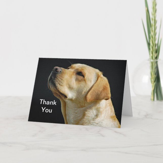 Labrador Retriever Thank You Card (Front)