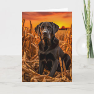 Labrador Retriever Thanksgiving Holiday Card