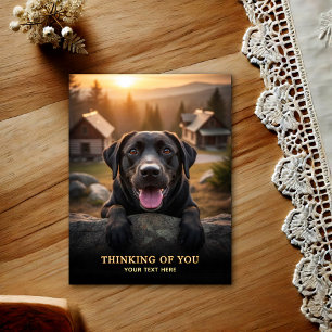 Labrador Retriever Thinking Of You Postcard