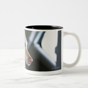 Labrador retriever Two-Tone coffee mug