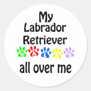 Labrador Retriever Walks Design Classic Round Sticker