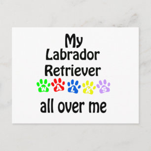 Labrador Retriever Walks Design Postcard
