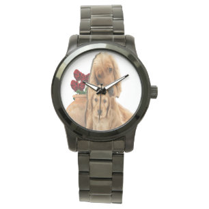 Labrador retriever watch
