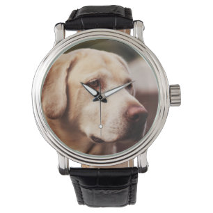 Labrador Retriever Watch