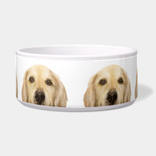 Labrador Retriever, water bowl by miart