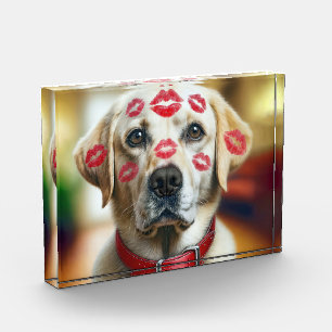 Labrador Retriever With Lipstick Kisses Photo Block