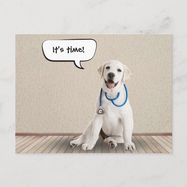 Labrador Retriever Withe Stethoscope  Postcard (Front)