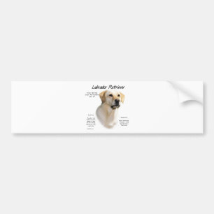 Labrador Retriever (yellow) History Design Bumper Sticker