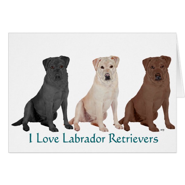 Labrador Retrievers - 3 Colours to Love (Front Horizontal)