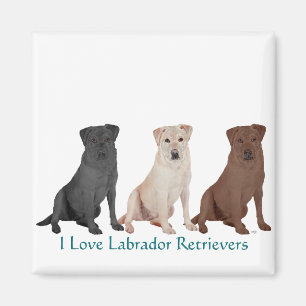 Labrador Retrievers - 3 Colours to Love Magnet