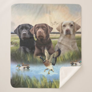Labrador Retrievers, (Hunting dogs)  Sherpa Blanket
