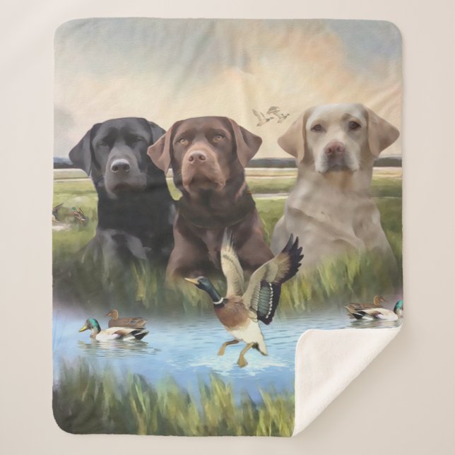 Labrador Retrievers, (Hunting dogs)  Sherpa Blanket (Front)