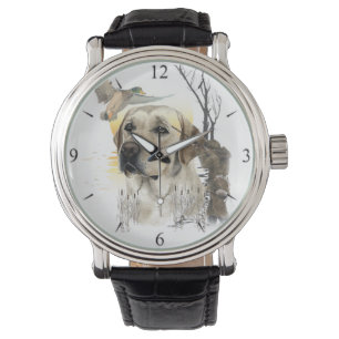 Labrador Retrievers, (Hunting dogs)  Watch