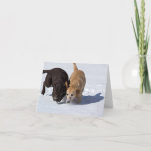 Labrador Retrievers Tracking In Snow Greeting Card