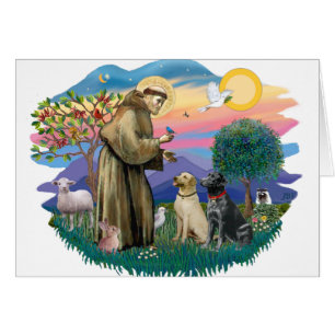 Labrador Retrievers (two)