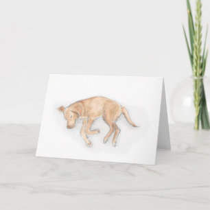 Labrador sleeping card