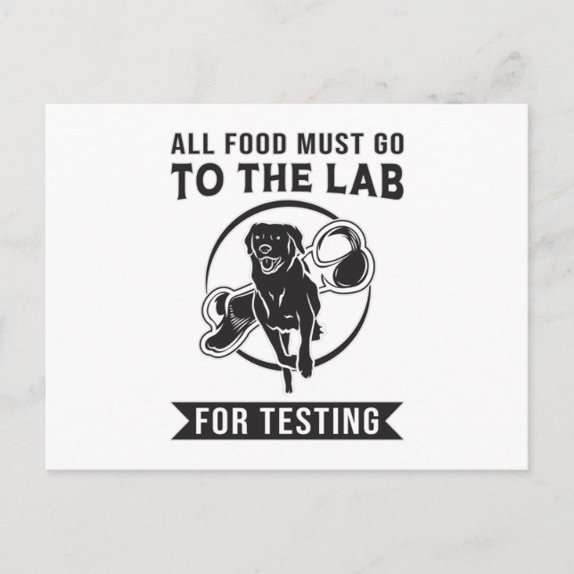 Labrador The Lab For Testing Retriever Dog Funny Postcard (Front)