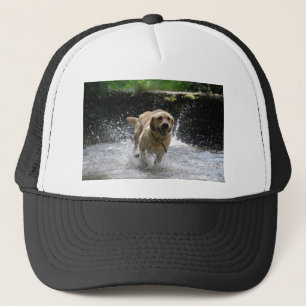 Labrador Trucker Hat