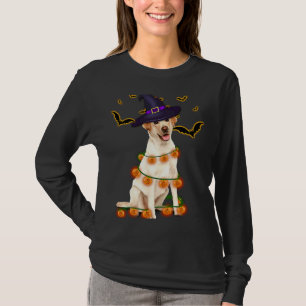 Labrador Wizard Hat Tree Lights Pumpkin Party Hall T-Shirt