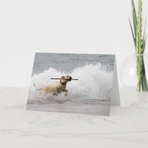 Labrador - Yellow - Go Fetch! Card