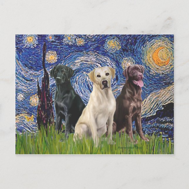 Labradors (3) - Starry Night Postcard (Front)