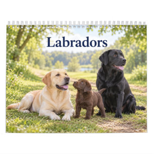 Labradors and Labrador Puppies Calendar