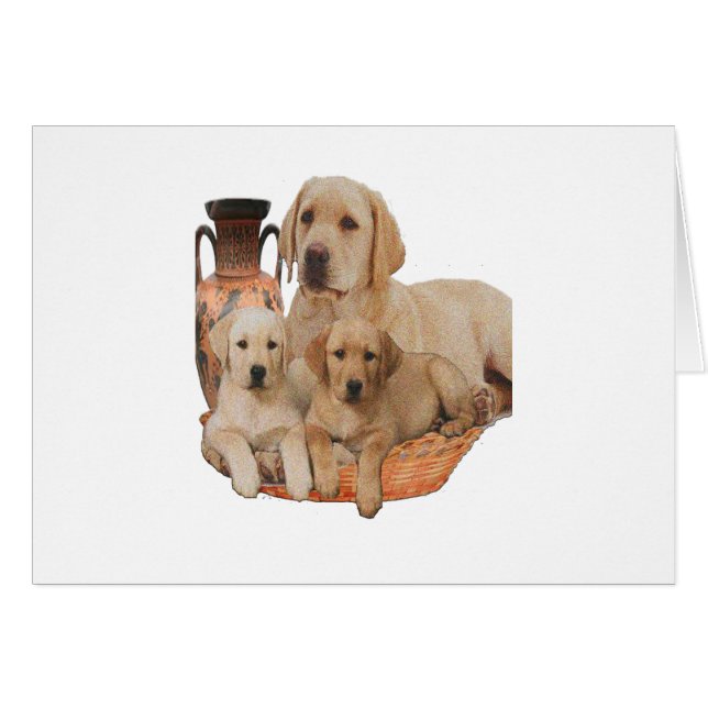 Labrardor retriever merchnandise (Front Horizontal)