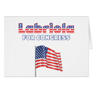 Labriola for Congress Patriotic American Flag