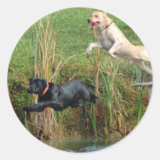 Labs Classic Round Sticker