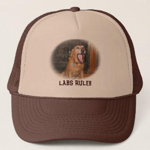 Labs Rule Hat