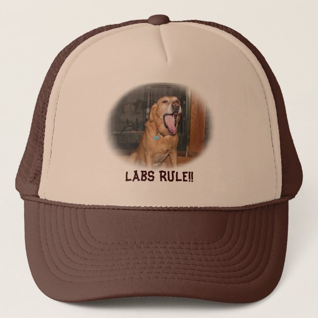 Labs Rule Hat (Front)