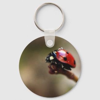 LABYBIRD KEY RING