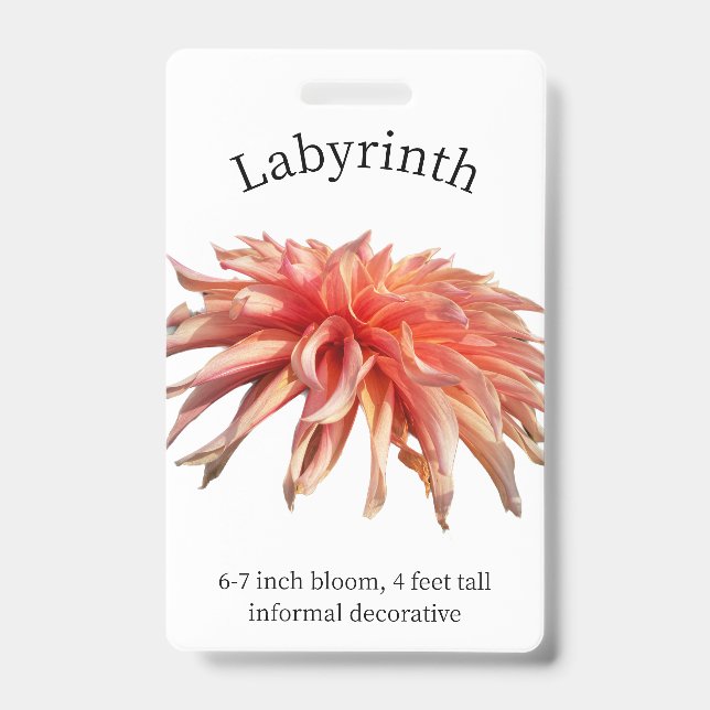 Labyrinth Dahlia ID Badge (Front)