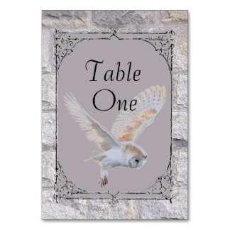 Labyrinth It’s Only Forever Wedding Owl Table Number