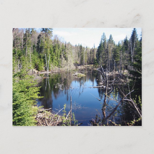 Lac Boyer Postcard (Front)