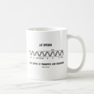 Lac Operon Classic Example Prokaryotic Gene Reg Coffee Mug