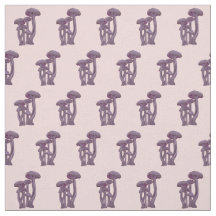 Laccaria Mushrooms -