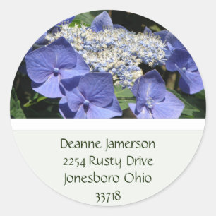 Lace Cap Hydrangea Address Stickers
